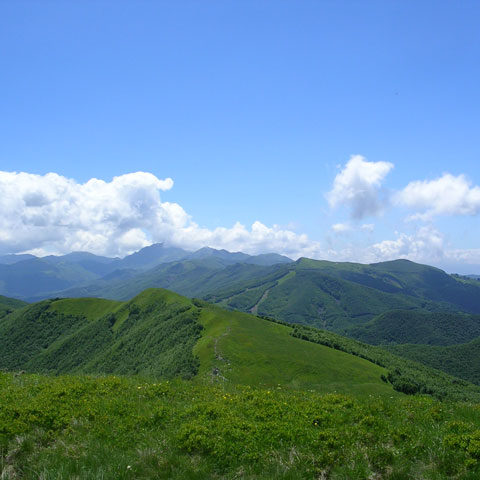 natura-009