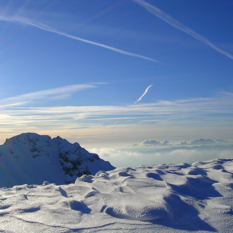 neve-060